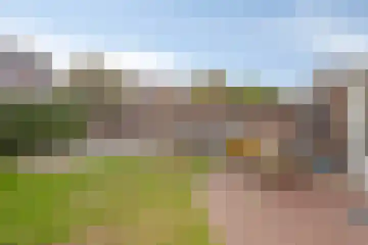 Pinksterbloem 39 Venray thumbnail 28