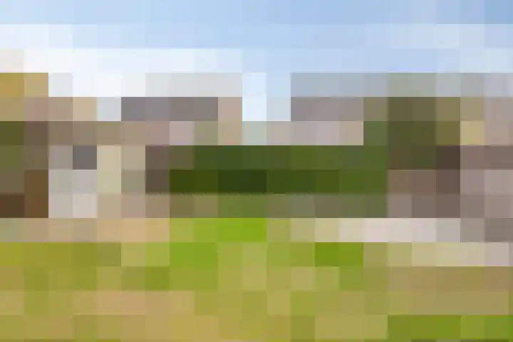 Pinksterbloem 39 Venray thumbnail 30