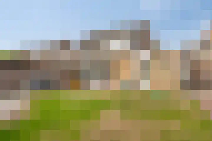 Pinksterbloem 39 Venray thumbnail 32