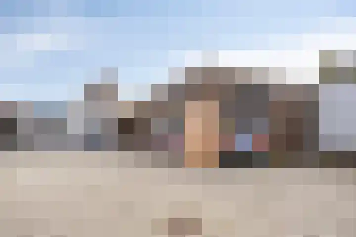 Pinksterbloem 39 Venray thumbnail 33