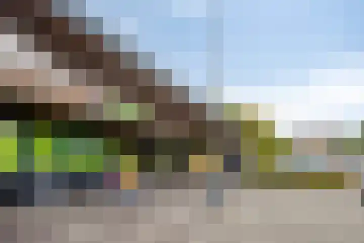 Pinksterbloem 39 Venray thumbnail 34