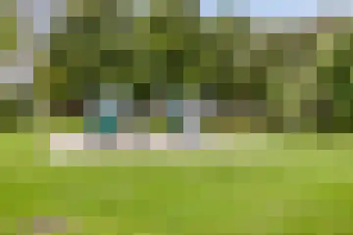 Pinksterbloem 39 Venray thumbnail 35