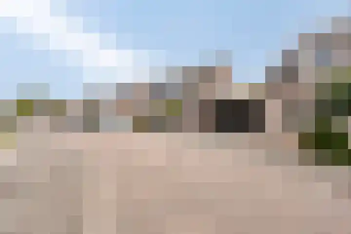 Pinksterbloem 39 Venray thumbnail 4