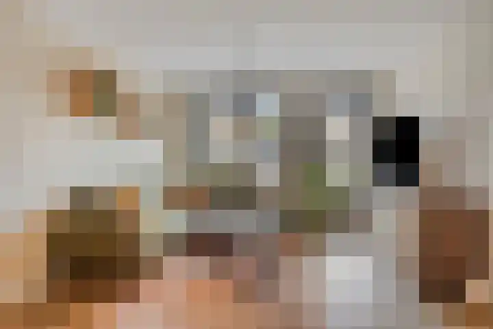 Pinksterbloem 39 Venray thumbnail 7