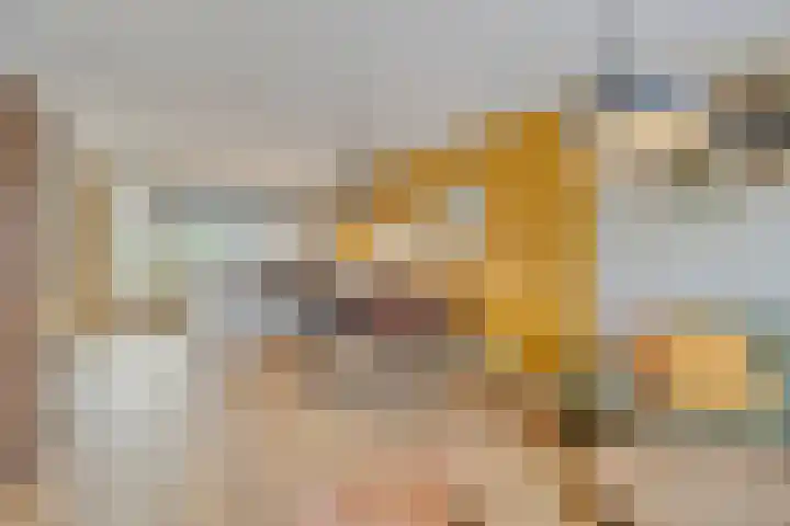 Pinksterbloem 39 Venray thumbnail 8
