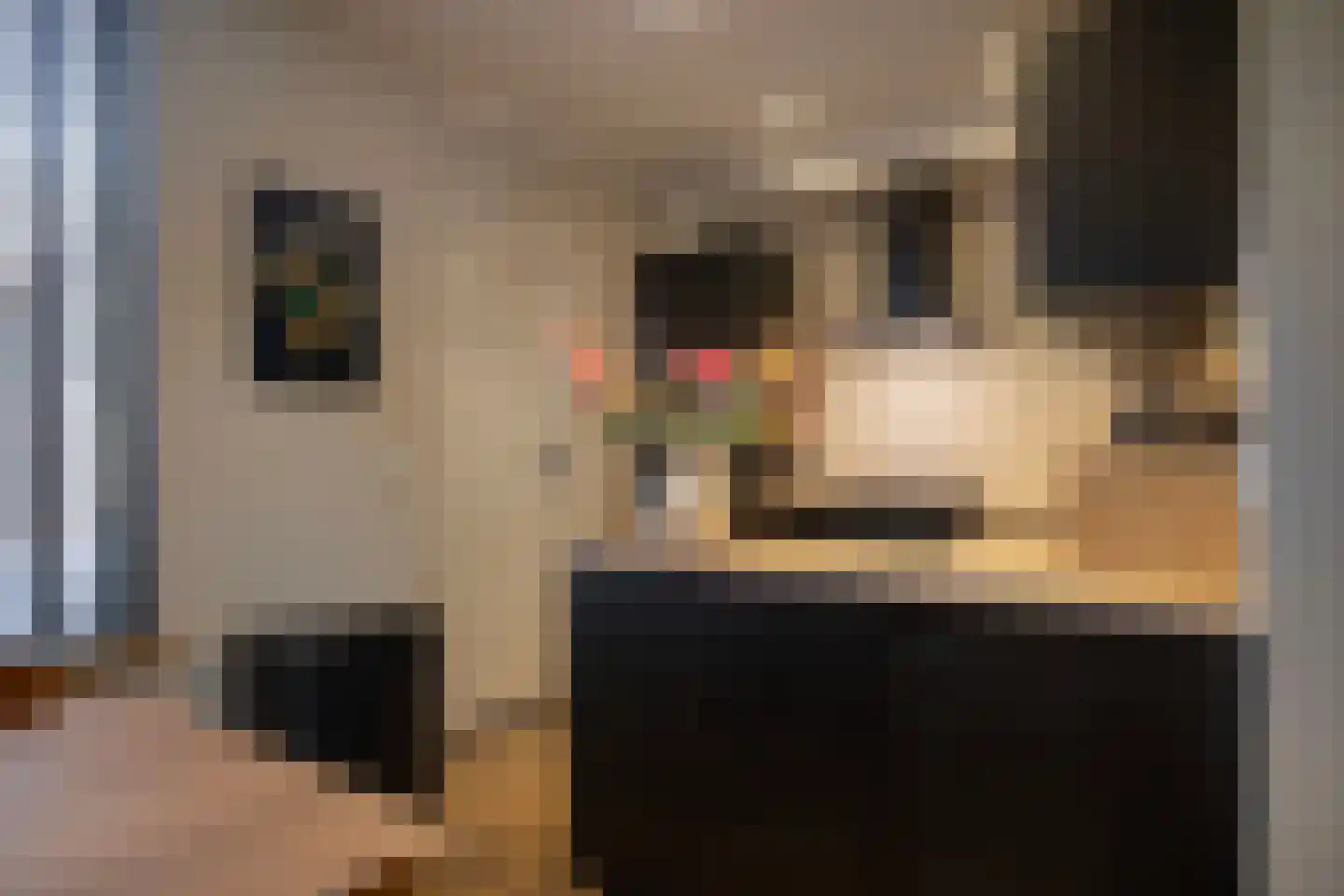 Pinksterbloem 4 Bennekom thumbnail 13