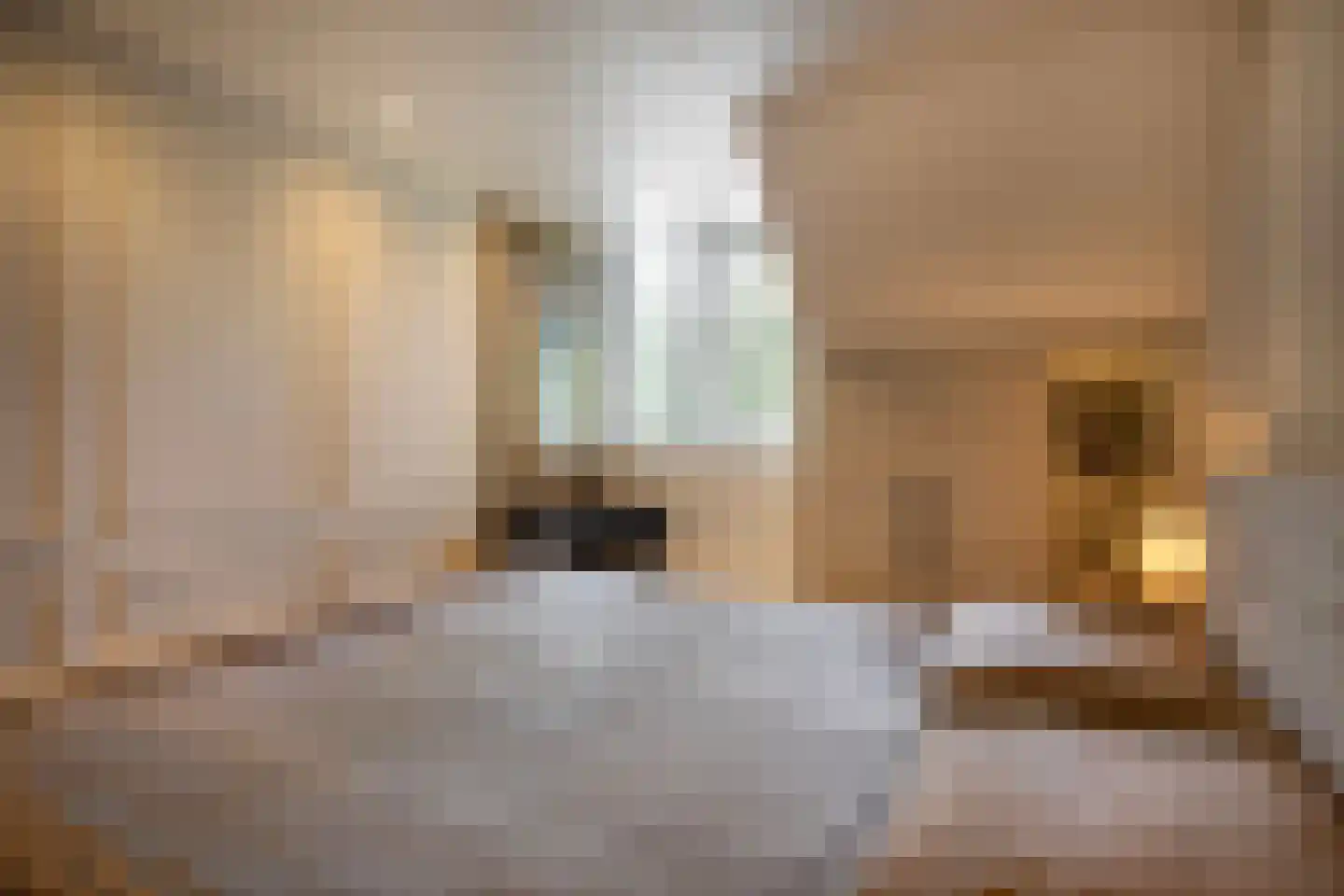 Pinksterbloem 4 Bennekom thumbnail 23