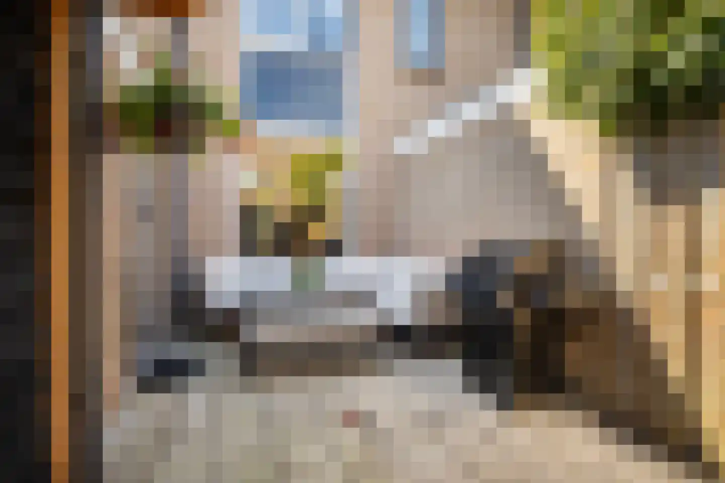 Pinksterbloem 4 Bennekom thumbnail 35