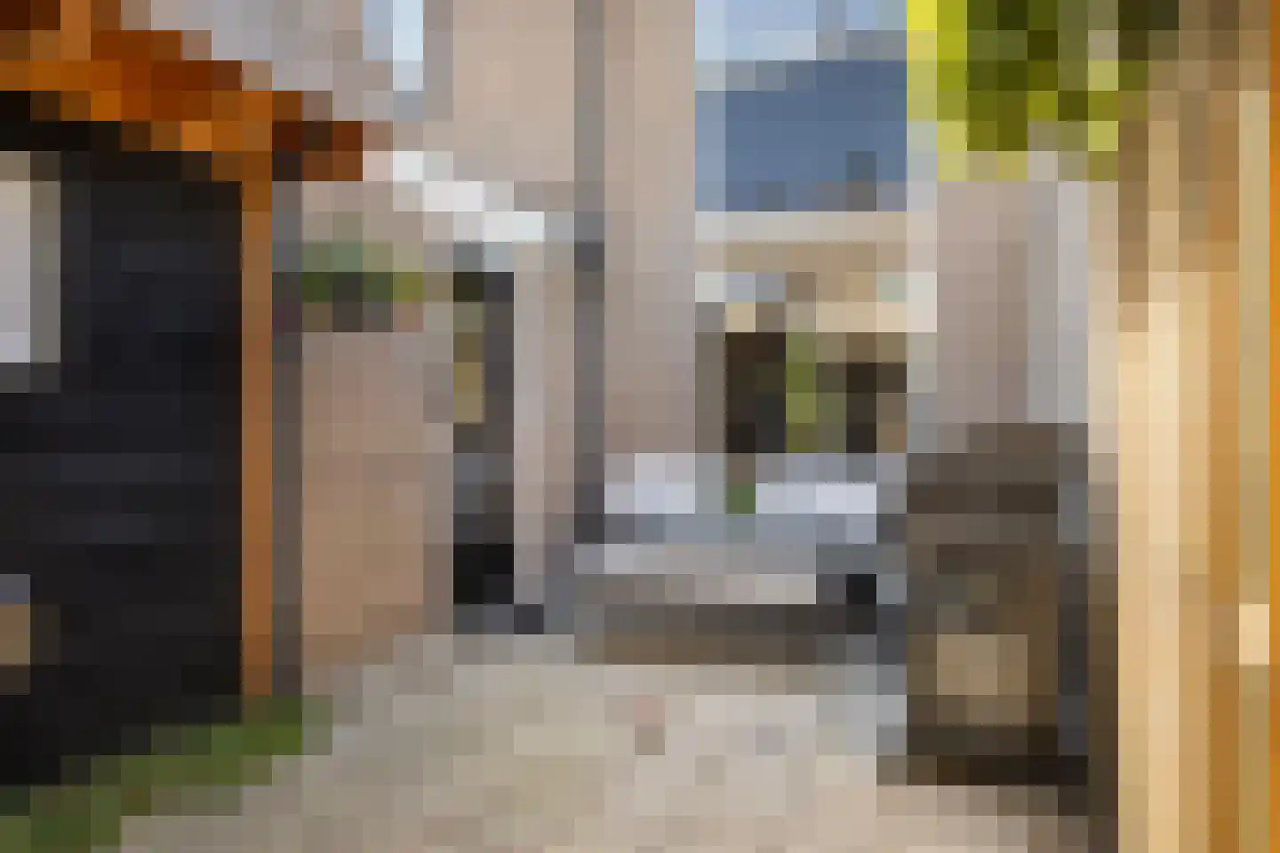 Pinksterbloem 4 Bennekom thumbnail 36