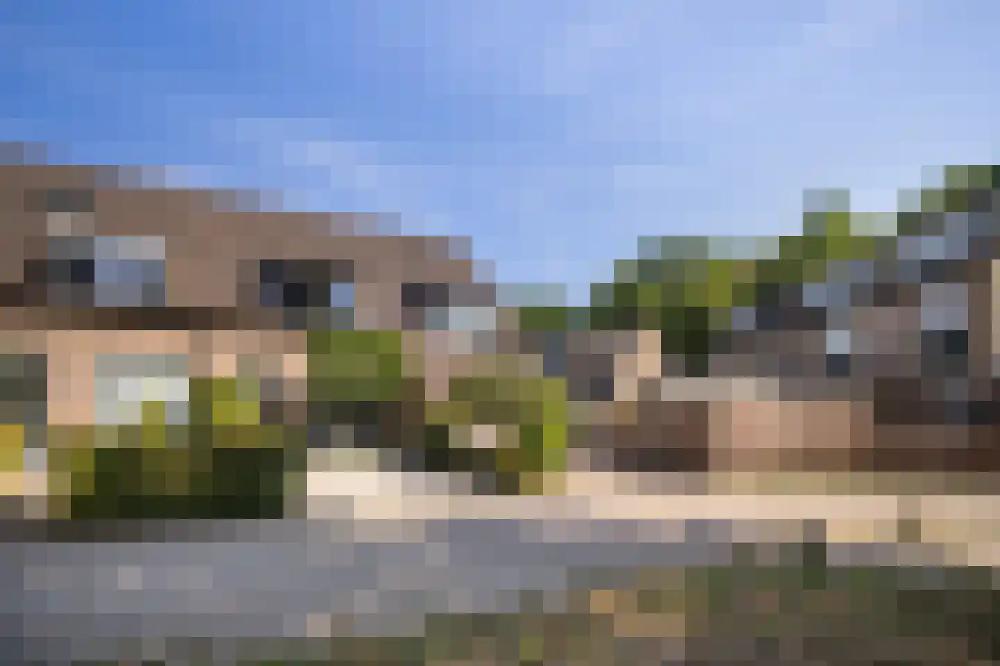 Pinksterbloem 4 Bennekom thumbnail 42