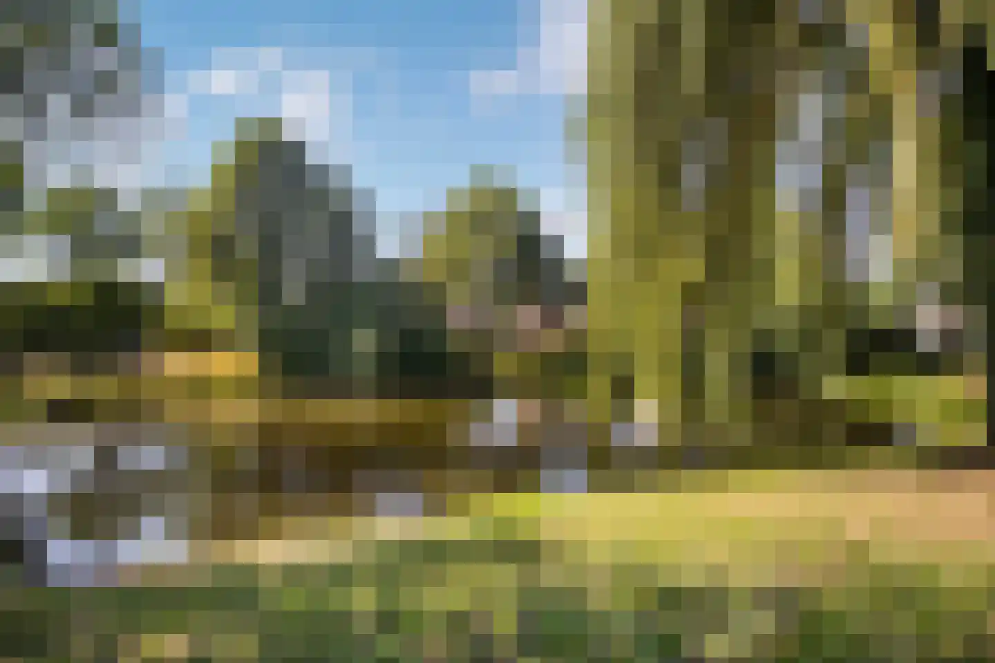 Pinksterbloem 4 Bennekom thumbnail 45
