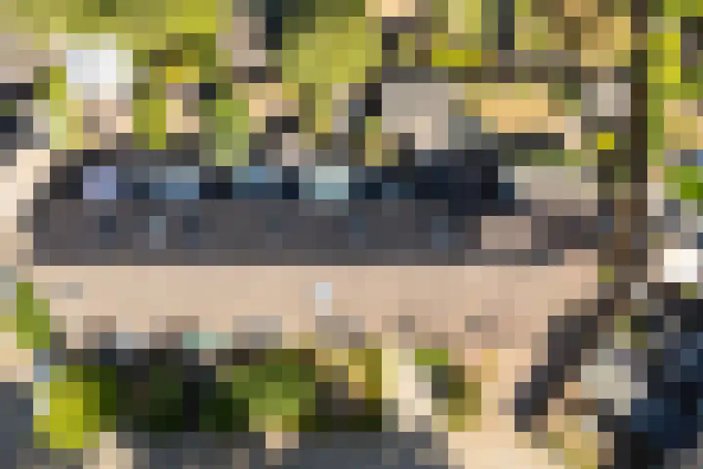 Pinksterbloem 4 Bennekom thumbnail 46