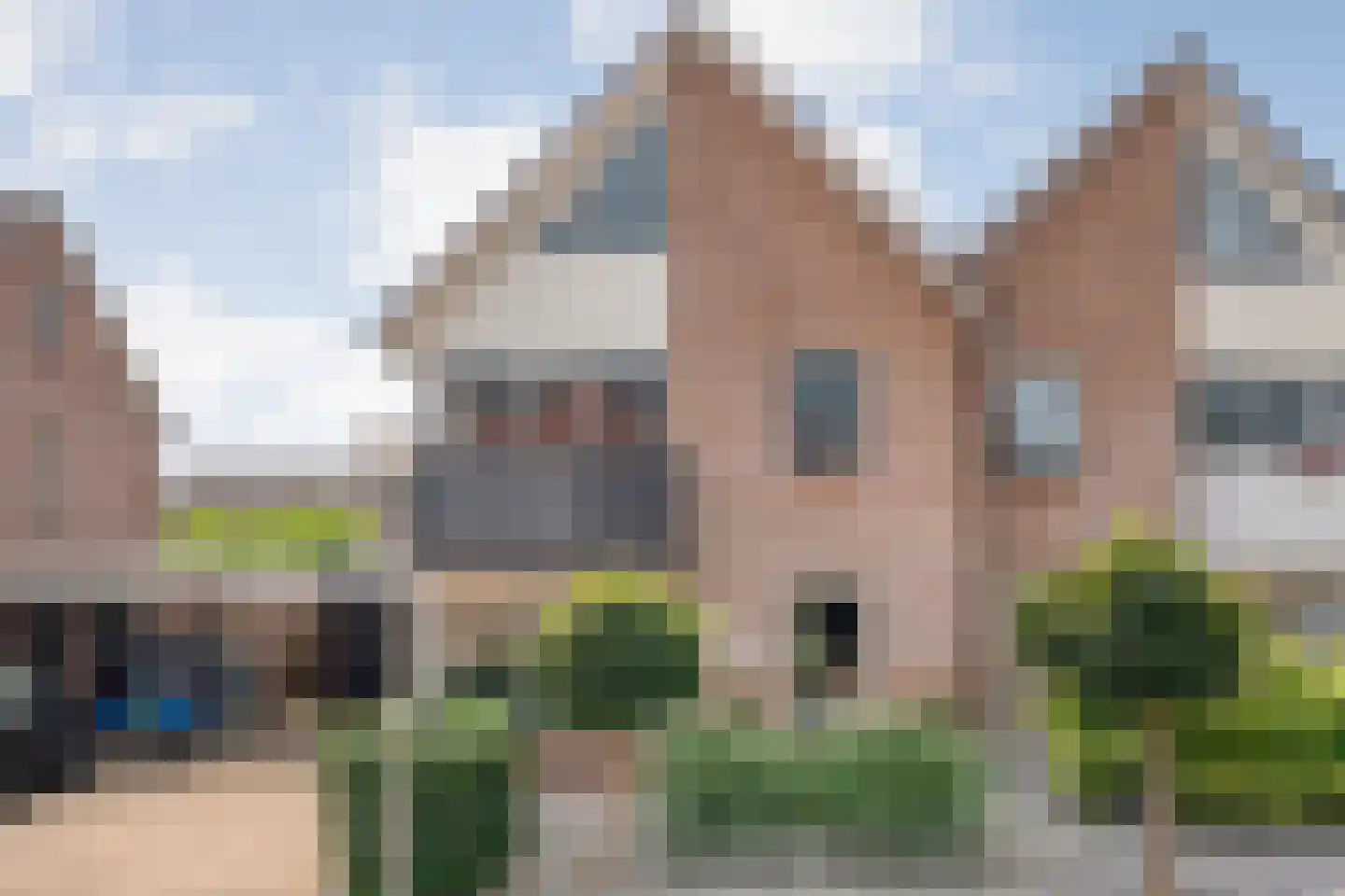 Pinksterbloem 4 Hardenberg
