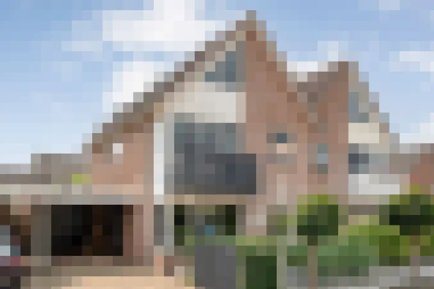 Pinksterbloem 4 Hardenberg foto 2