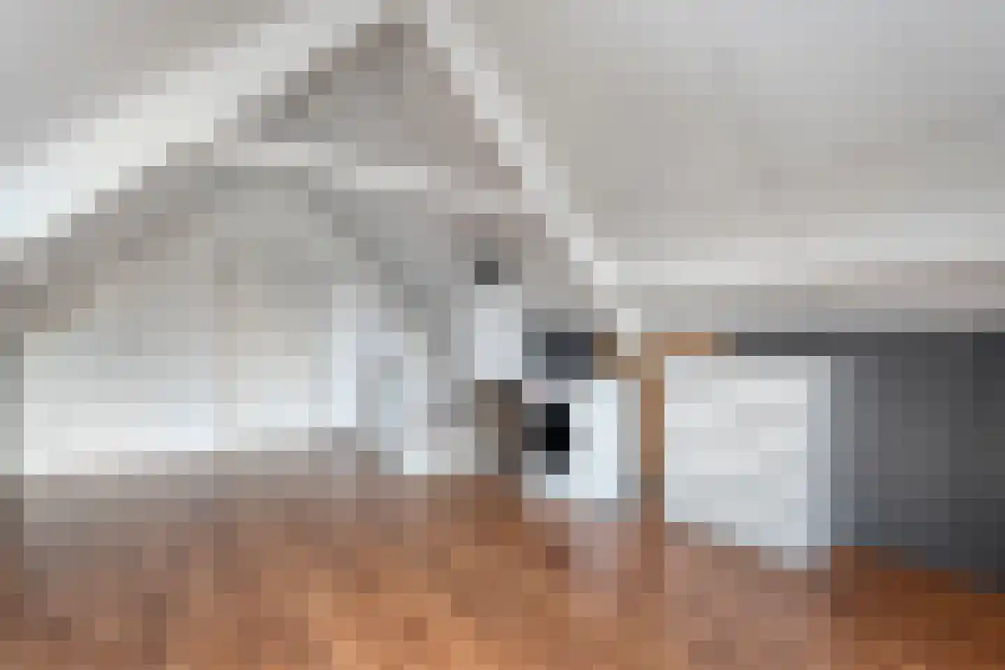 Pinksterbloem 4 Hardenberg thumbnail 35
