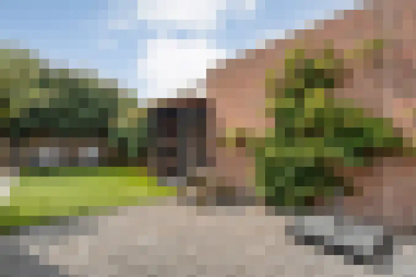 Pinksterbloem 4 Hardenberg thumbnail 39