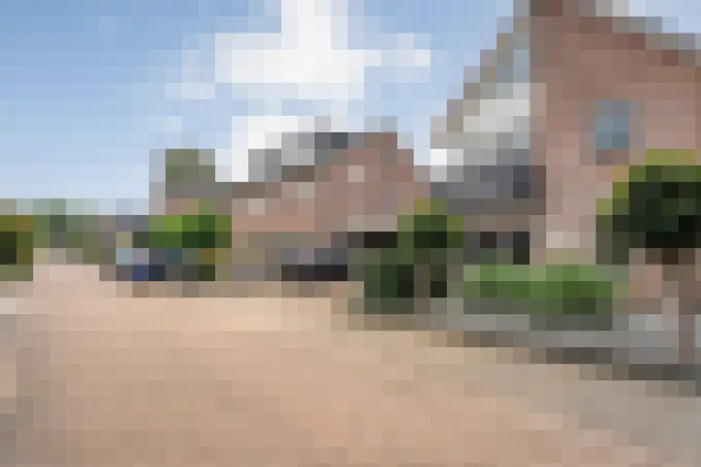 Pinksterbloem 4 Hardenberg thumbnail 4