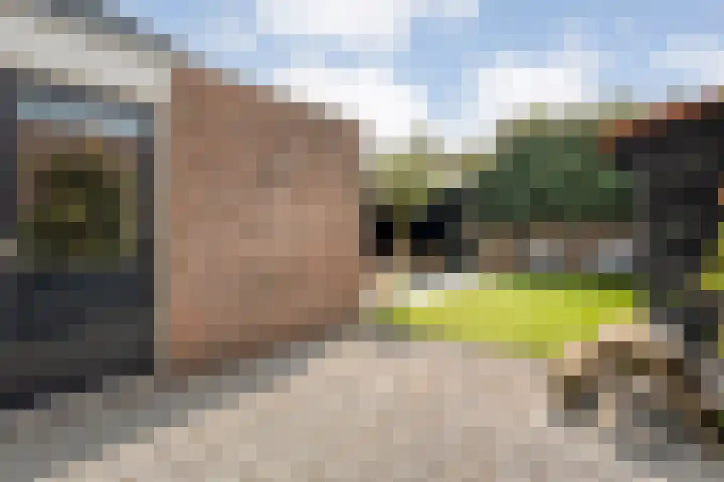 Pinksterbloem 4 Hardenberg thumbnail 40
