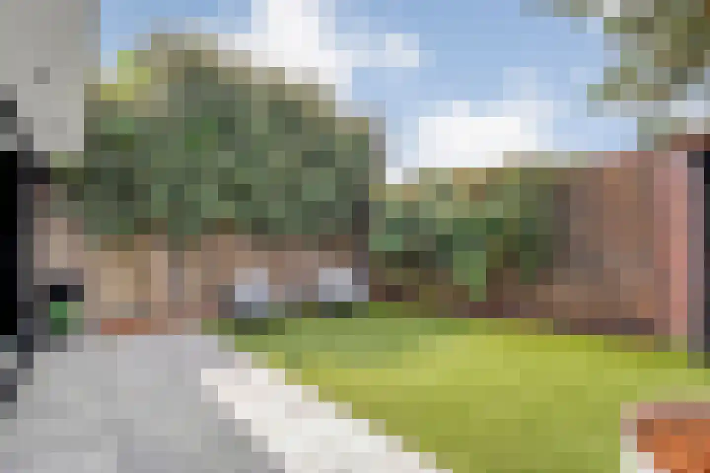 Pinksterbloem 4 Hardenberg thumbnail 41