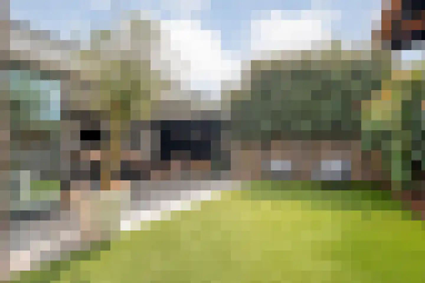 Pinksterbloem 4 Hardenberg thumbnail 42
