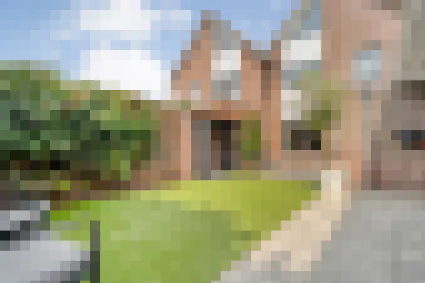 Pinksterbloem 4 Hardenberg thumbnail 43