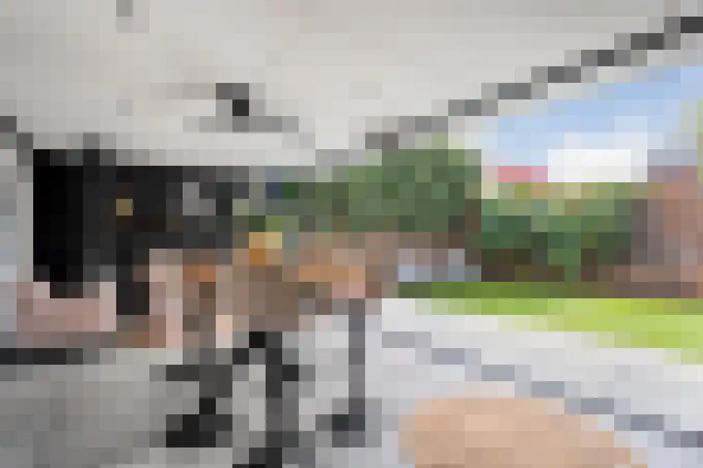 Pinksterbloem 4 Hardenberg thumbnail 46