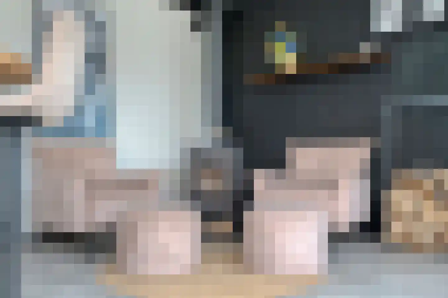 Pinksterbloem 4 Hardenberg thumbnail 47