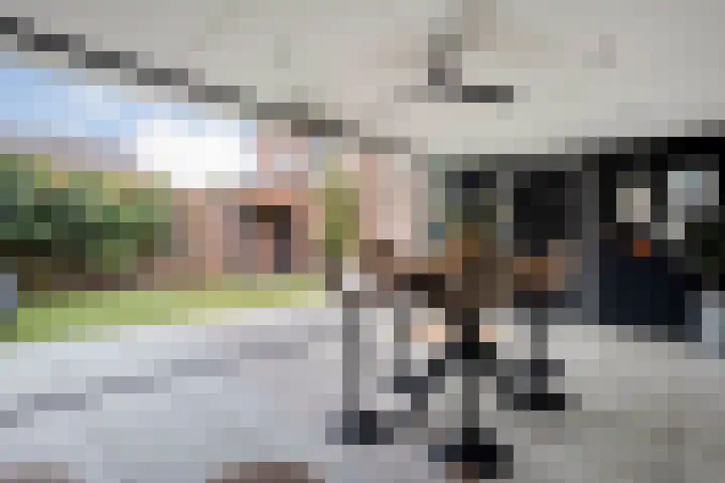 Pinksterbloem 4 Hardenberg thumbnail 49
