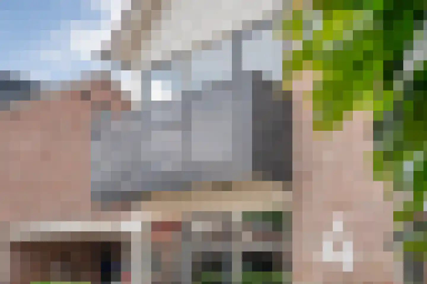 Pinksterbloem 4 Hardenberg thumbnail 5
