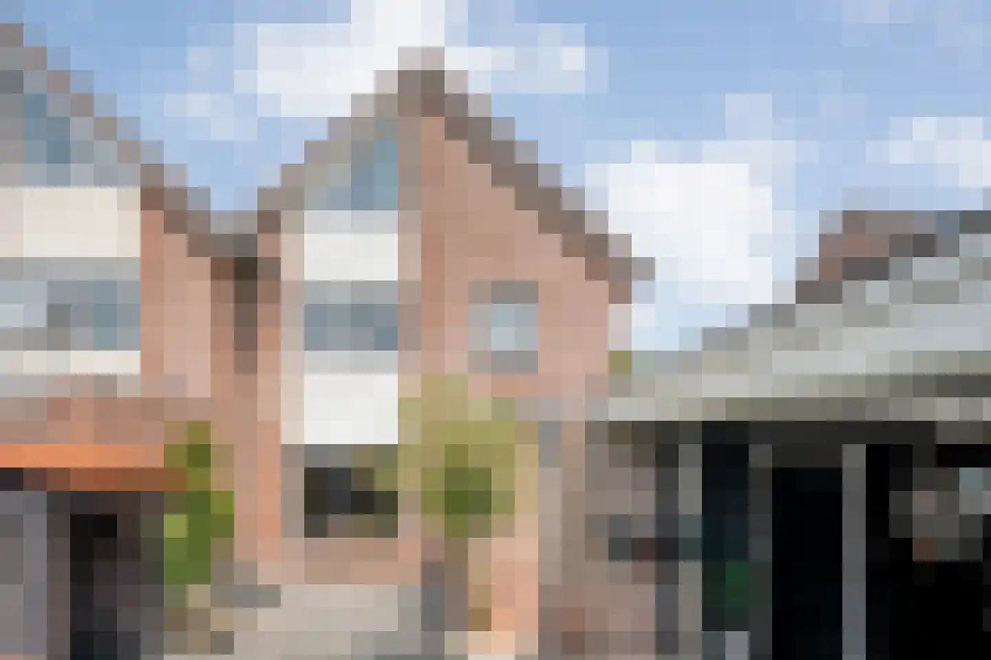 Pinksterbloem 4 Hardenberg thumbnail 50