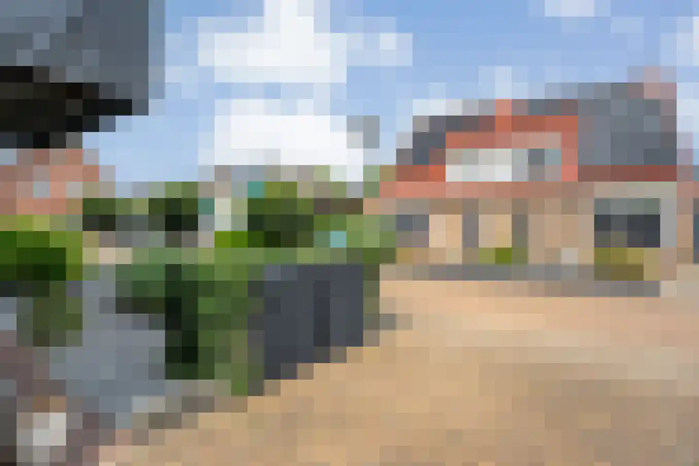 Pinksterbloem 4 Hardenberg thumbnail 6