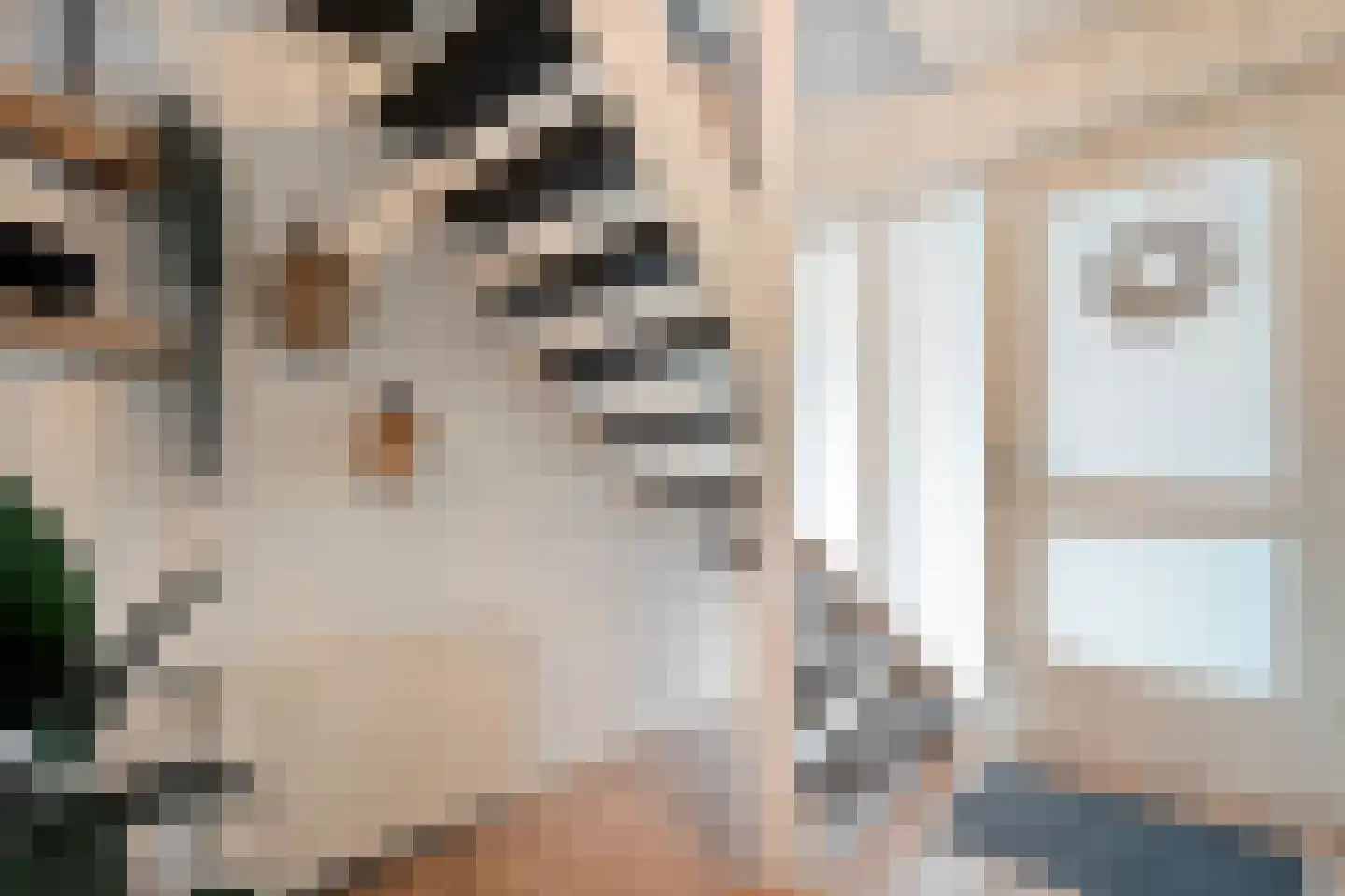 Pinksterbloem 4 Hardenberg thumbnail 8