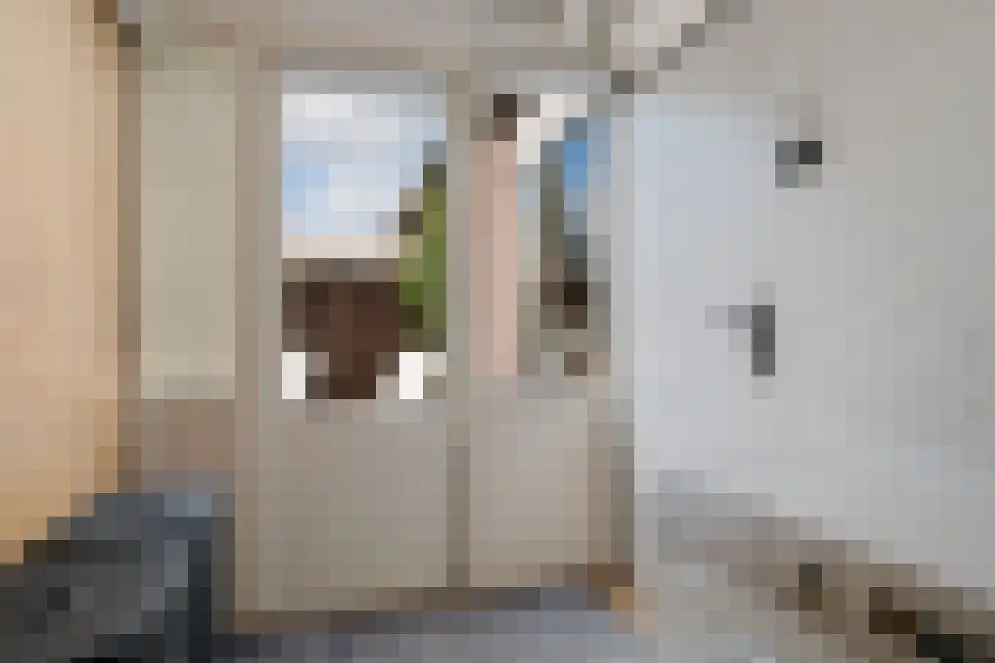 Pinksterbloem 4 Sneek thumbnail 17