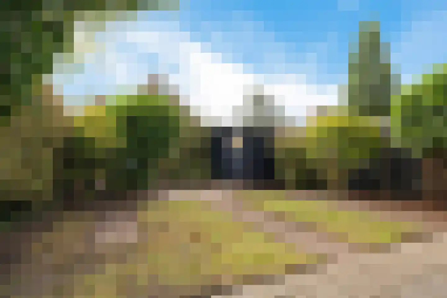 Pinksterbloem 4 Sneek thumbnail 29