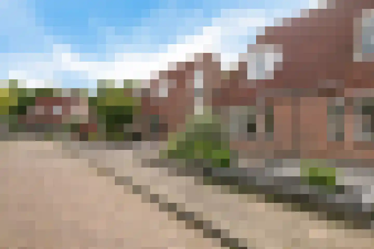 Pinksterbloem 4 Sneek thumbnail 36