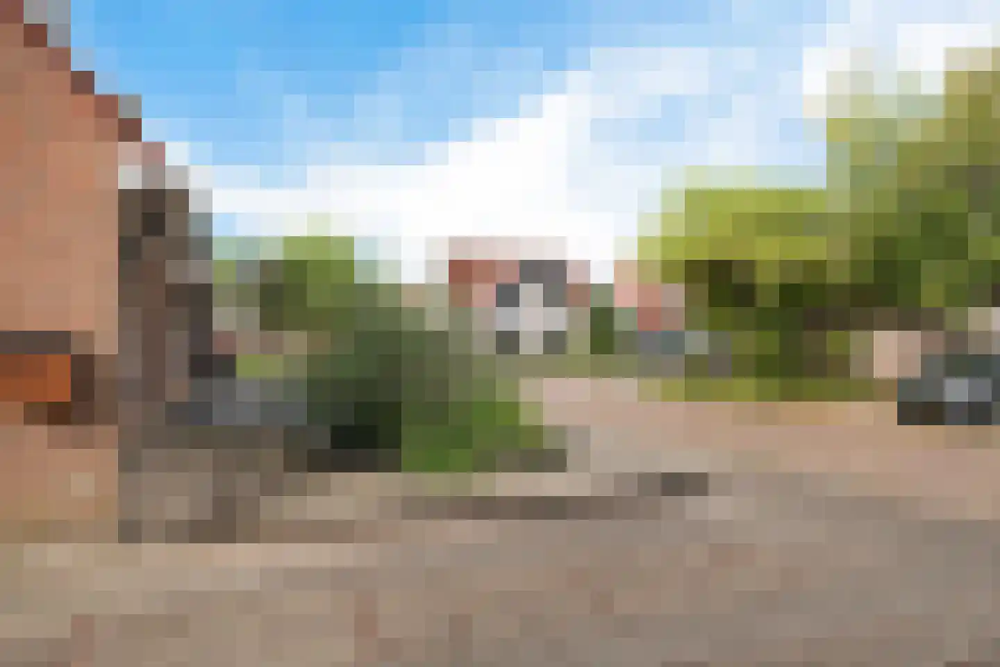 Pinksterbloem 4 Sneek thumbnail 37