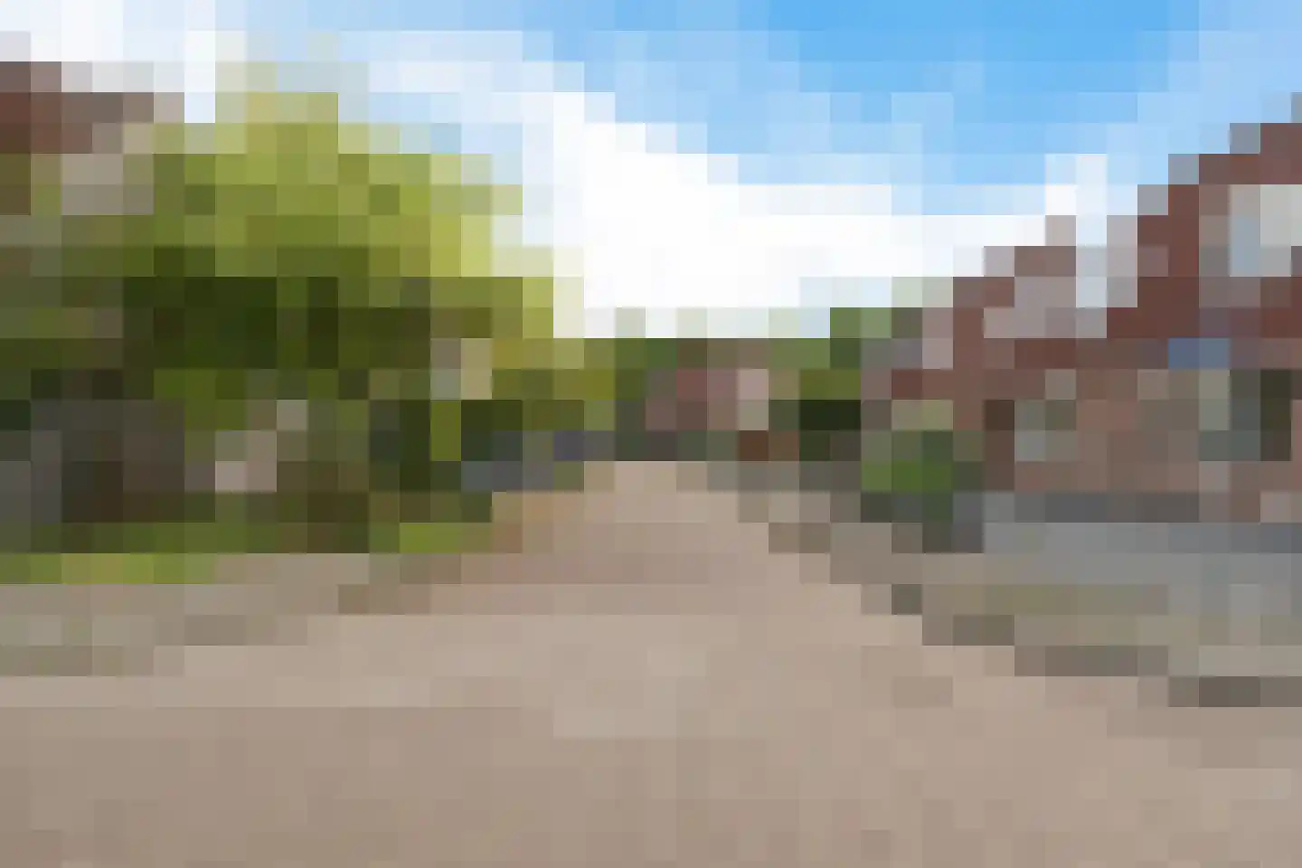 Pinksterbloem 4 Sneek thumbnail 38