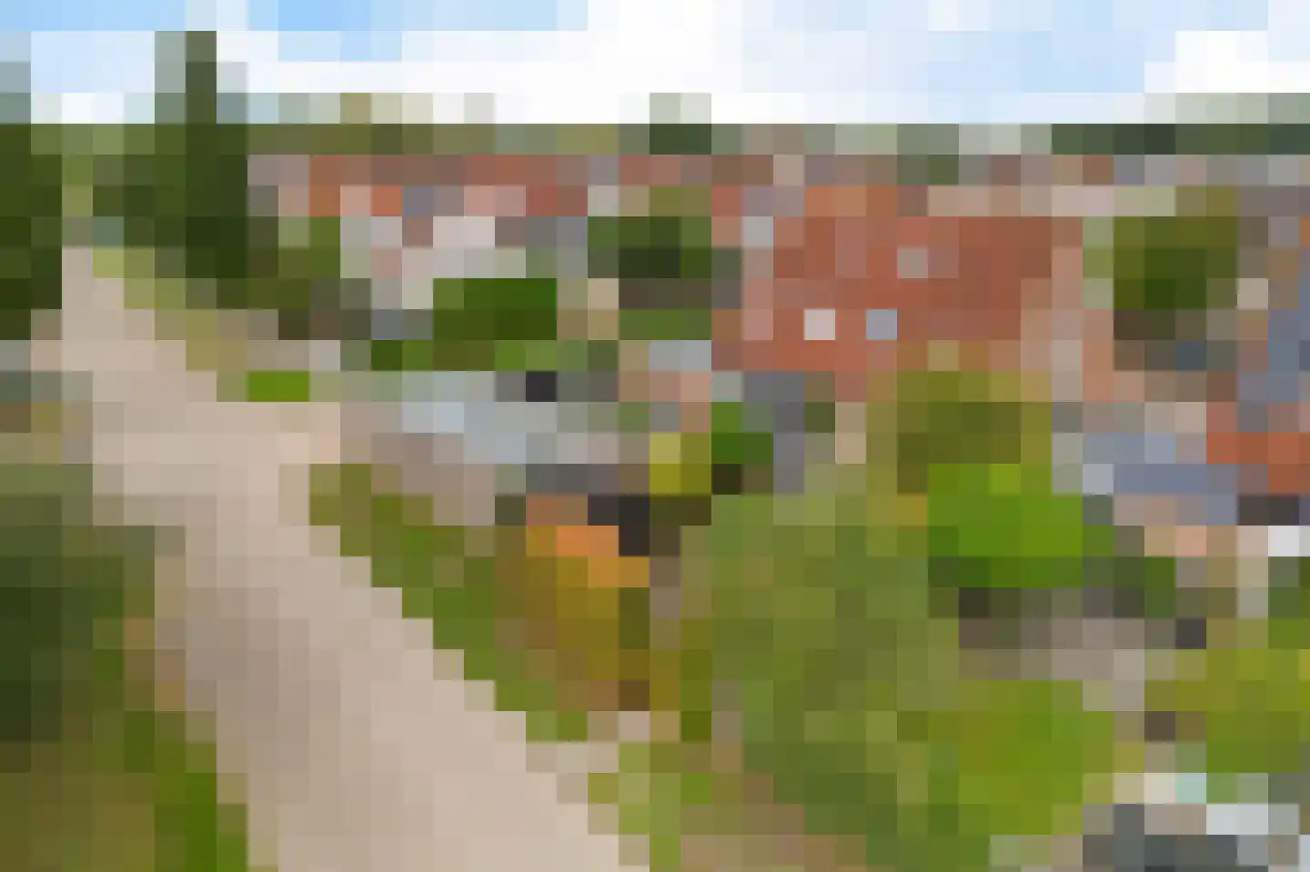 Pinksterbloem 4 Sneek thumbnail 5