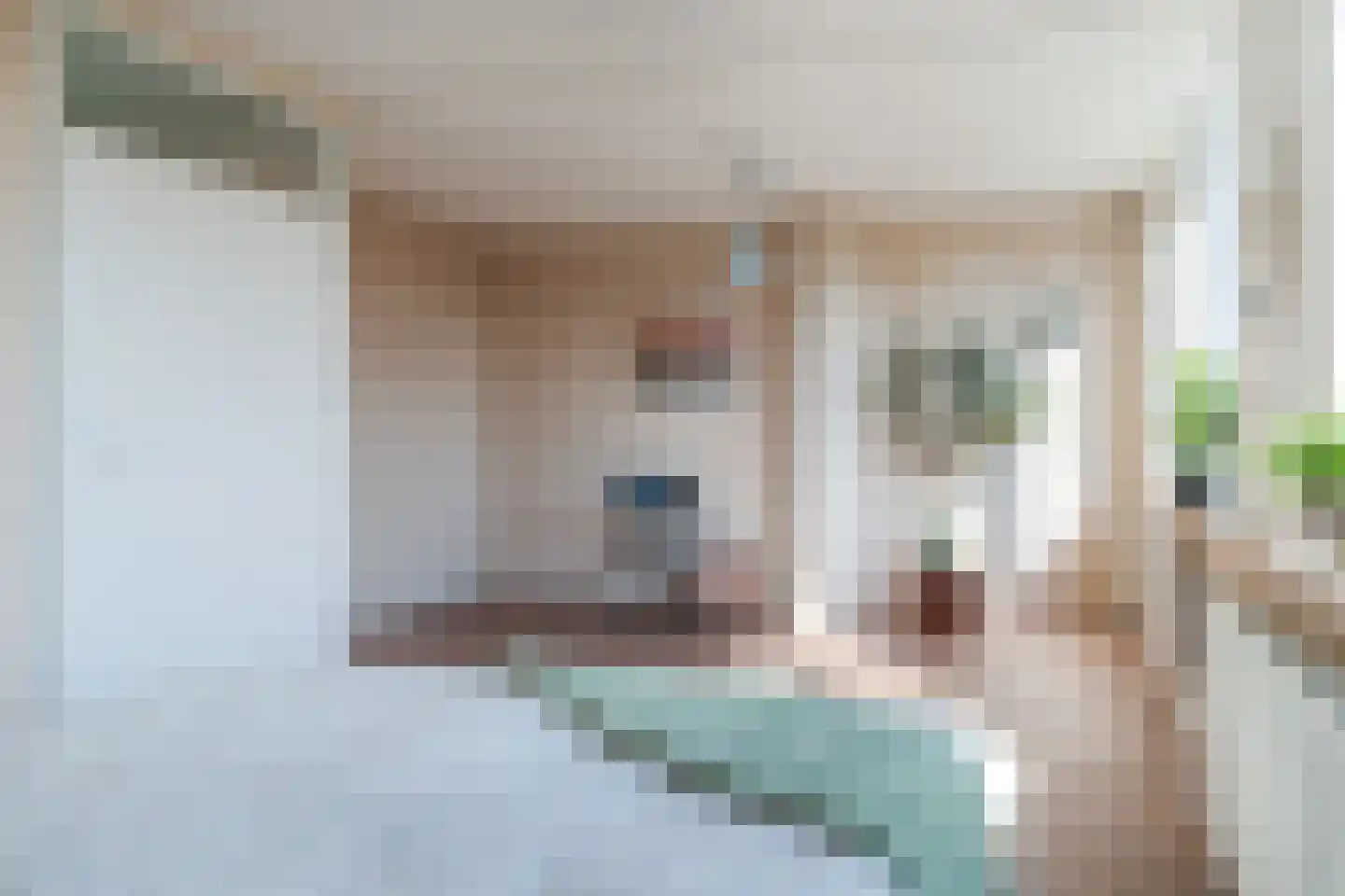 Pinksterbloem 40 Culemborg thumbnail 19