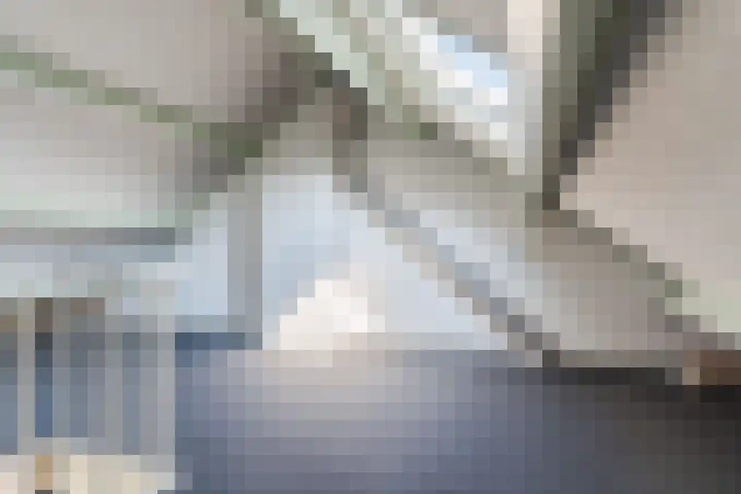 Pinksterbloem 40 Culemborg thumbnail 26