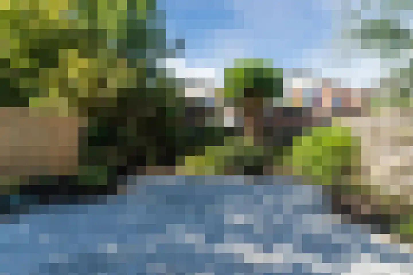 Pinksterbloem 40 Culemborg thumbnail 28