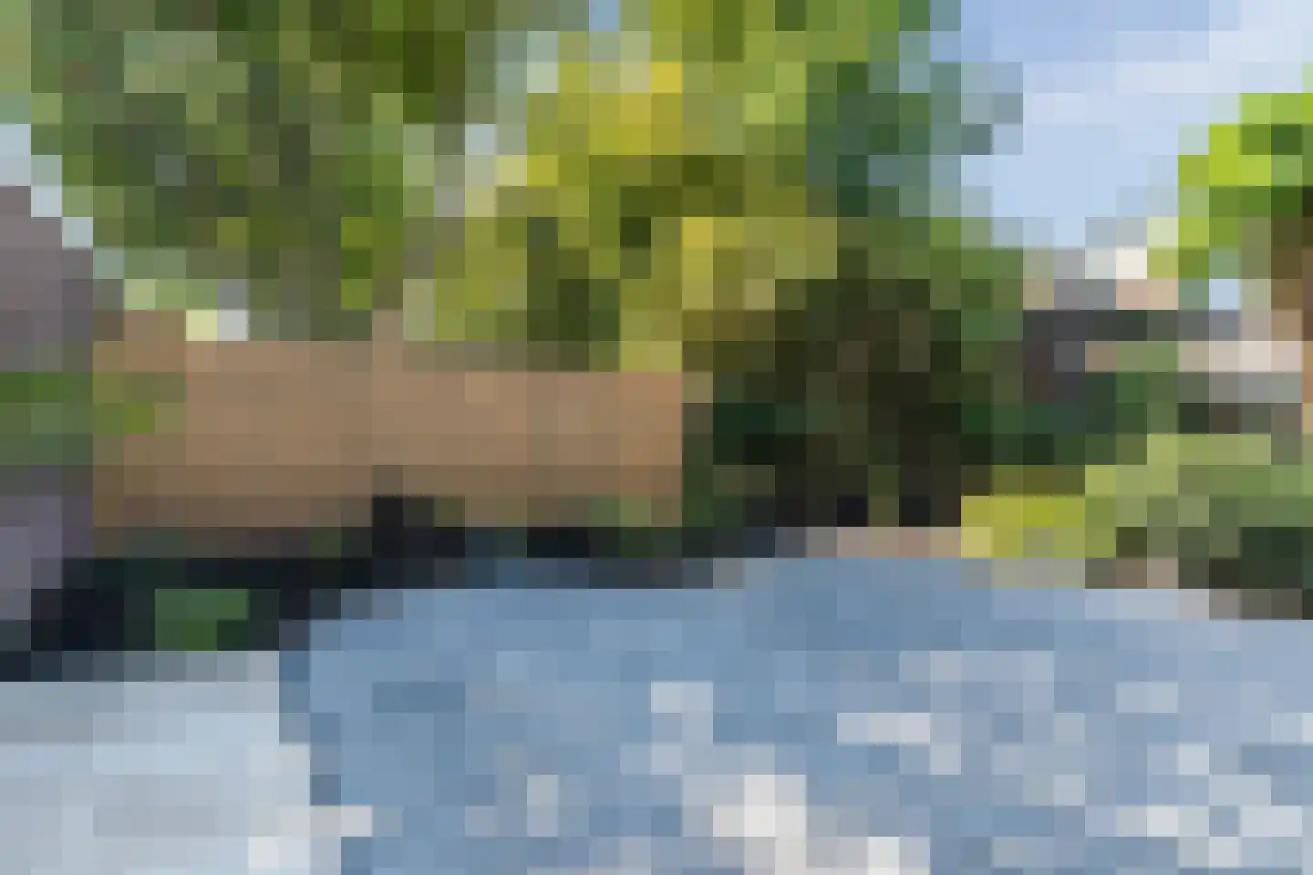 Pinksterbloem 40 Culemborg thumbnail 29