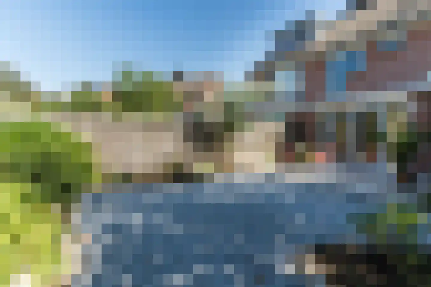 Pinksterbloem 40 Culemborg thumbnail 30