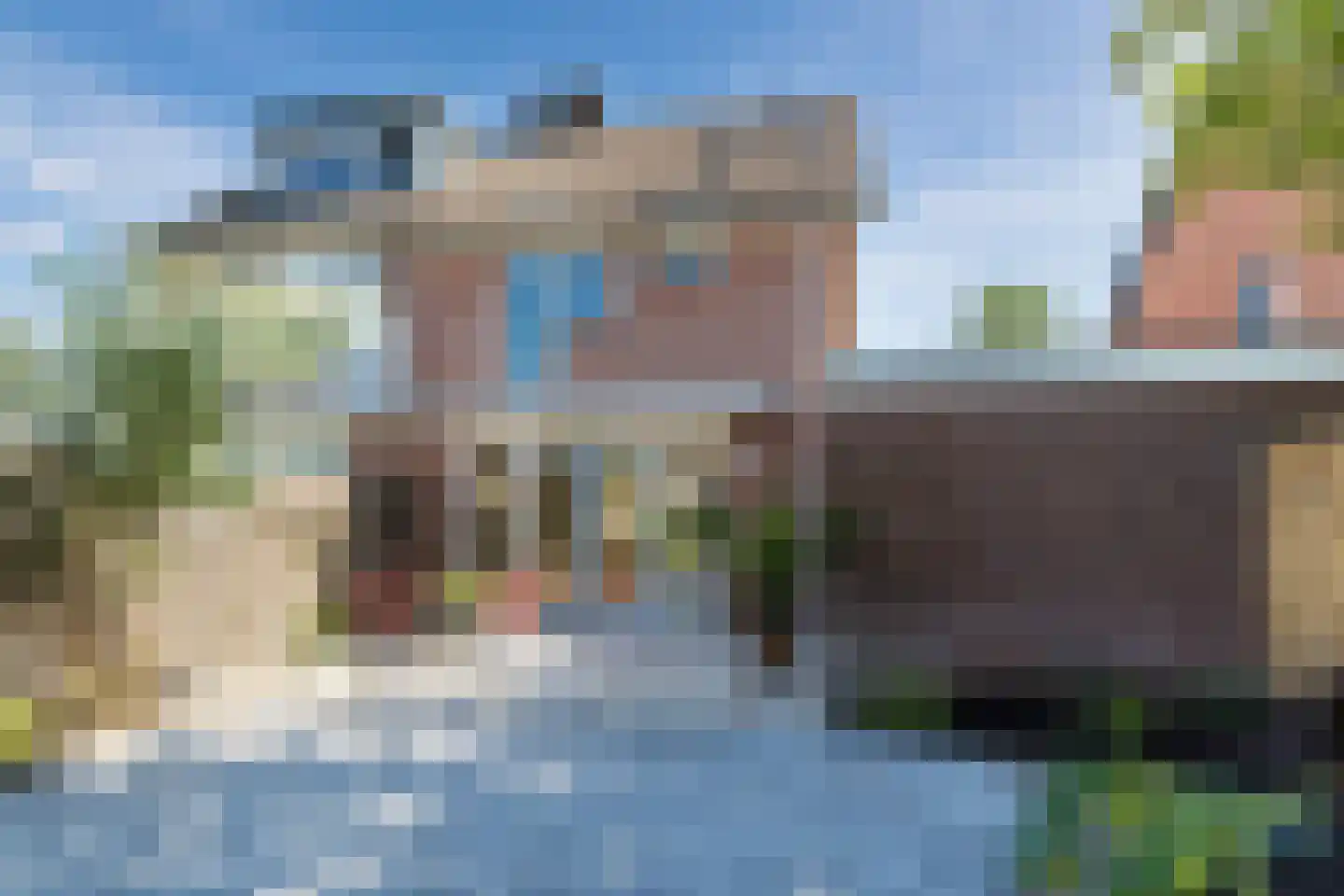 Pinksterbloem 40 Culemborg thumbnail 31