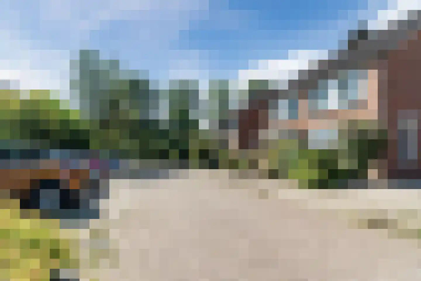 Pinksterbloem 40 Culemborg thumbnail 33