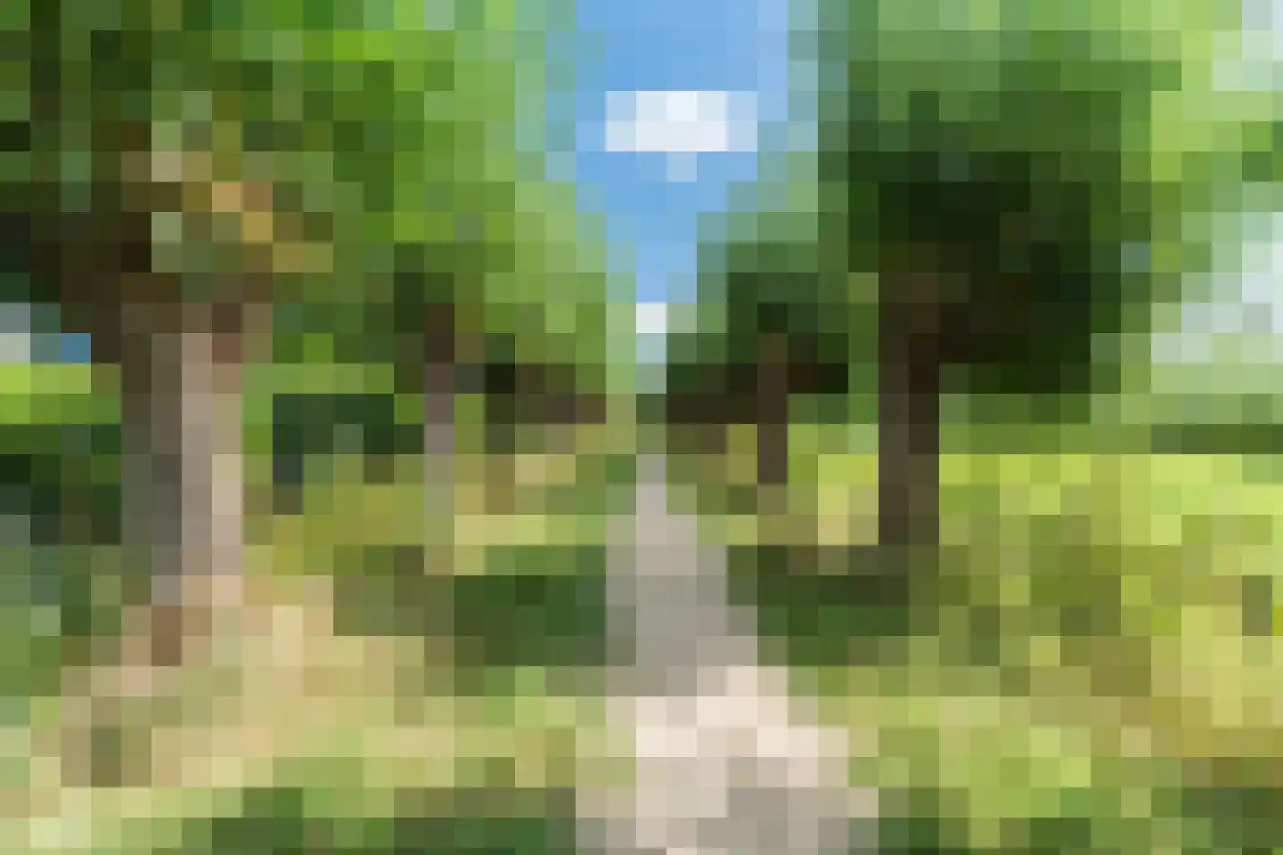 Pinksterbloem 40 Culemborg thumbnail 34