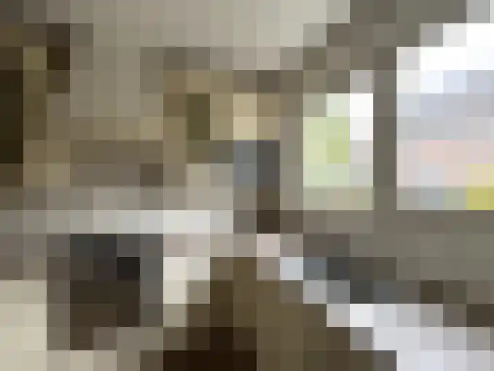 Pinksterbloem 46 Purmerend thumbnail 12