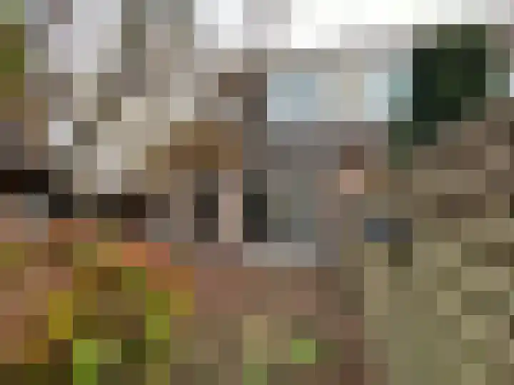 Pinksterbloem 46 Purmerend thumbnail 14