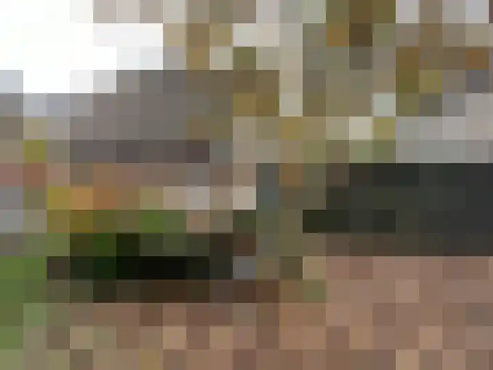 Pinksterbloem 46 Purmerend thumbnail 18