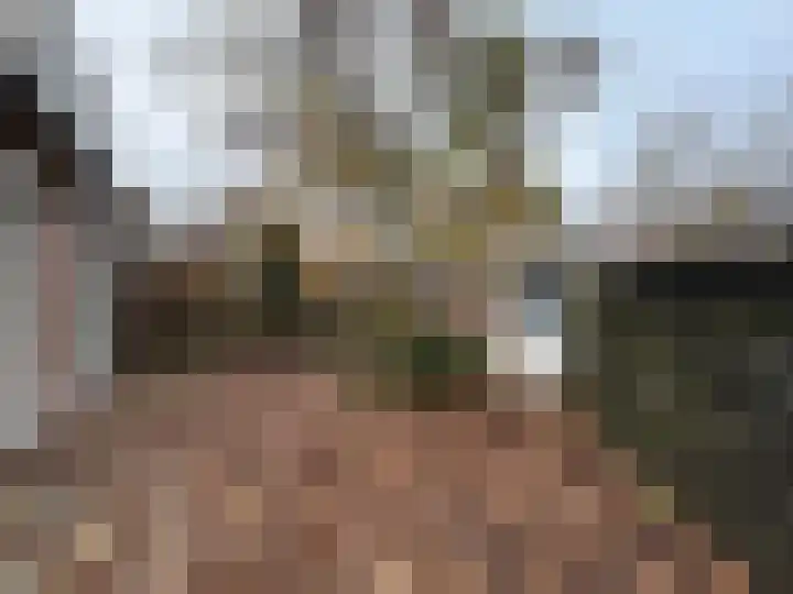Pinksterbloem 46 Purmerend thumbnail 19